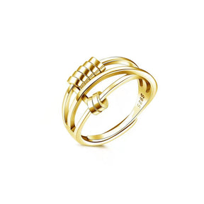 Ring : Fidget Ring - Zilver - Accessoire in Goud van Pantino