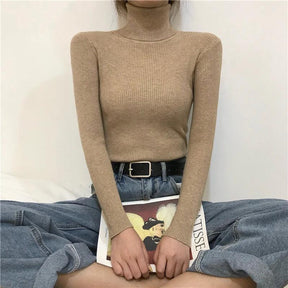 Sweater : Sweater Khaki - Helia Turtleneck with Cashmere in van Pantino