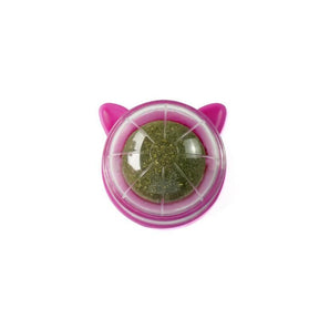 pets : Purrfect Kattenkruid Toy - Houd Je Katachtige Vriend Actief & Gelukkig - Blauw in Paars van Pantino