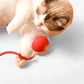 pets : Slimme Speelbal voor Katten - Rood in van Pantino