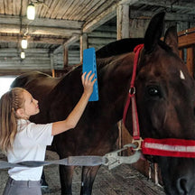 pets : HaloHorse - 6-In-1 Paardenborstel - Zwart in Blauw van Pantino