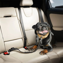 pets : PetGuard Belt - Reis Veilig met Jouw Hond - Zwart in Zwart van Pantino