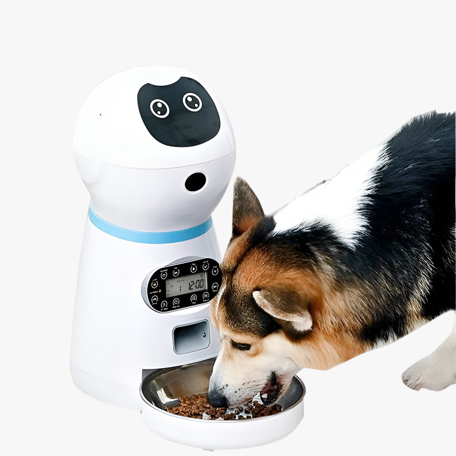 pets : Automatische Voederautomaat voor Dieren - Slimme Automatische Voederautomaat - Praktische Voeding in van Pantino