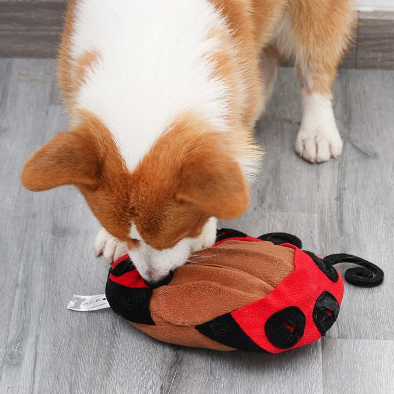 pets : SniffOut - Snuffel Hondenpuzzel in van Pantino