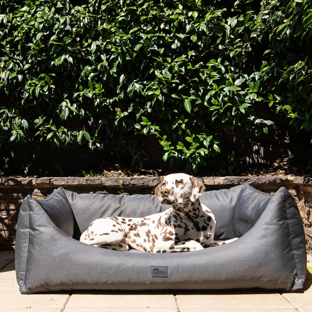 pets : Orthopedisch Hondenbed in Klassiek Grafiet - Ripstop Jungle Grijs in van Pantino