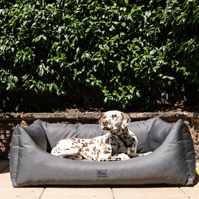 pets : Orthopedisch Hondenbed in Klassiek Grafiet - Ripstop Jungle Grijs in van Pantino