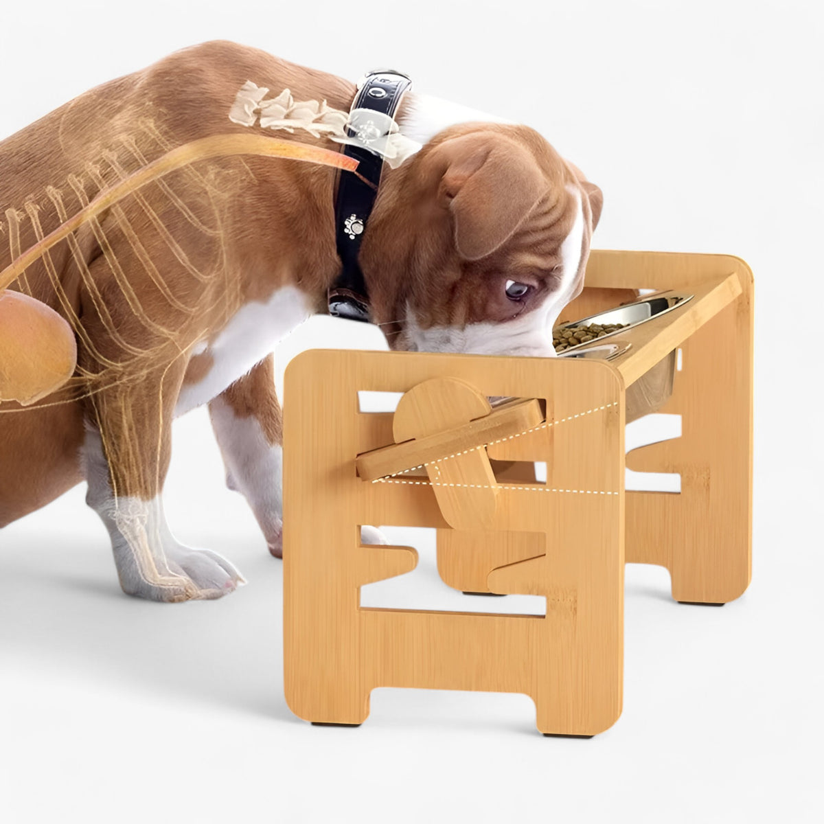 pets : Verhoogde Hondenbakstandaard in van Pantino