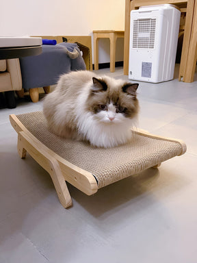 pets : Houten Kattenkrabplank - Multifunctionele Verwijderbare Design - Hout in van Pantino