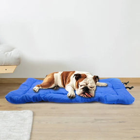 pets : Orthopedisch Rood Hondenreismat in van Pantino