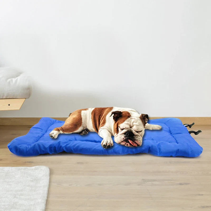 pets : Orthopedisch Rood Hondenreismat in van Pantino