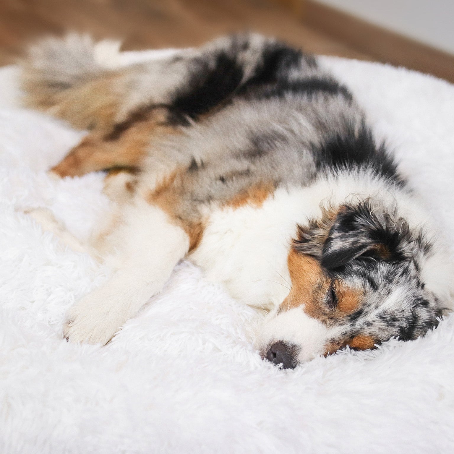 pets : Hondenbed Grijs - Ultiem Comfortabel Zacht Ligplaats - Pluche in van Pantino