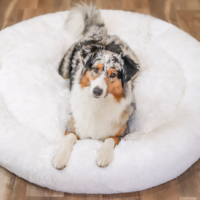 pets : PawZen - Comfortabel Hondenbed - Ultiem Comfort in Wit van Pantino