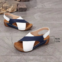 Sandals : Sandalen Dames Blauw - Minimalistische Scandinavische - Perfect voor die van een Eenvoudig en Modebewust Design Houden in Blauw van Pantino
