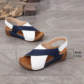 Sandals : Sandalen Dames Blauw - Minimalistische Scandinavische - Perfect voor die van een Eenvoudig en Modebewust Design Houden in Blauw van Pantino