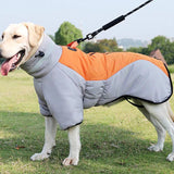 TrainPaws - veste imperméable pour chien - gris-orange