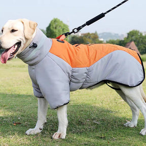 pets : TrainPaws - Hondenjas Waterdicht - Grijs-Oranje in Grijs-Oranje van Pantino