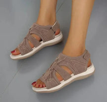 Sandals : Klassiek Wit Sandalen Dames - Elegante Sandalen voor een Tijdloze Stijl in Bruin van Pantino