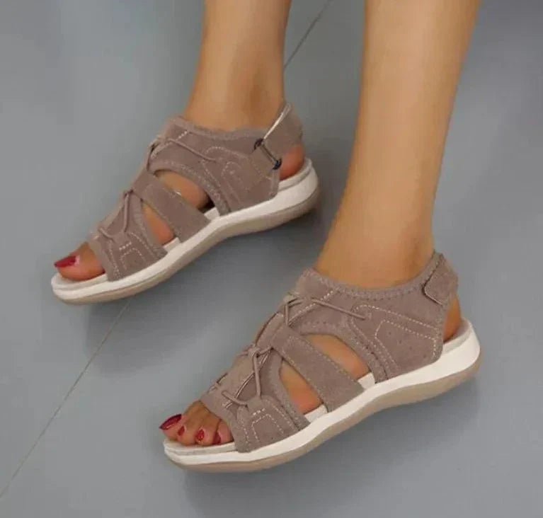 Sandals : Klassiek Wit Sandalen Dames - Elegante Sandalen voor een Tijdloze Stijl in Bruin van Pantino