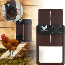 pets : Pluimvee PRO+ | Automatische Kippenluik (Copy) in Bruin (4 op voorraad) van Pantino