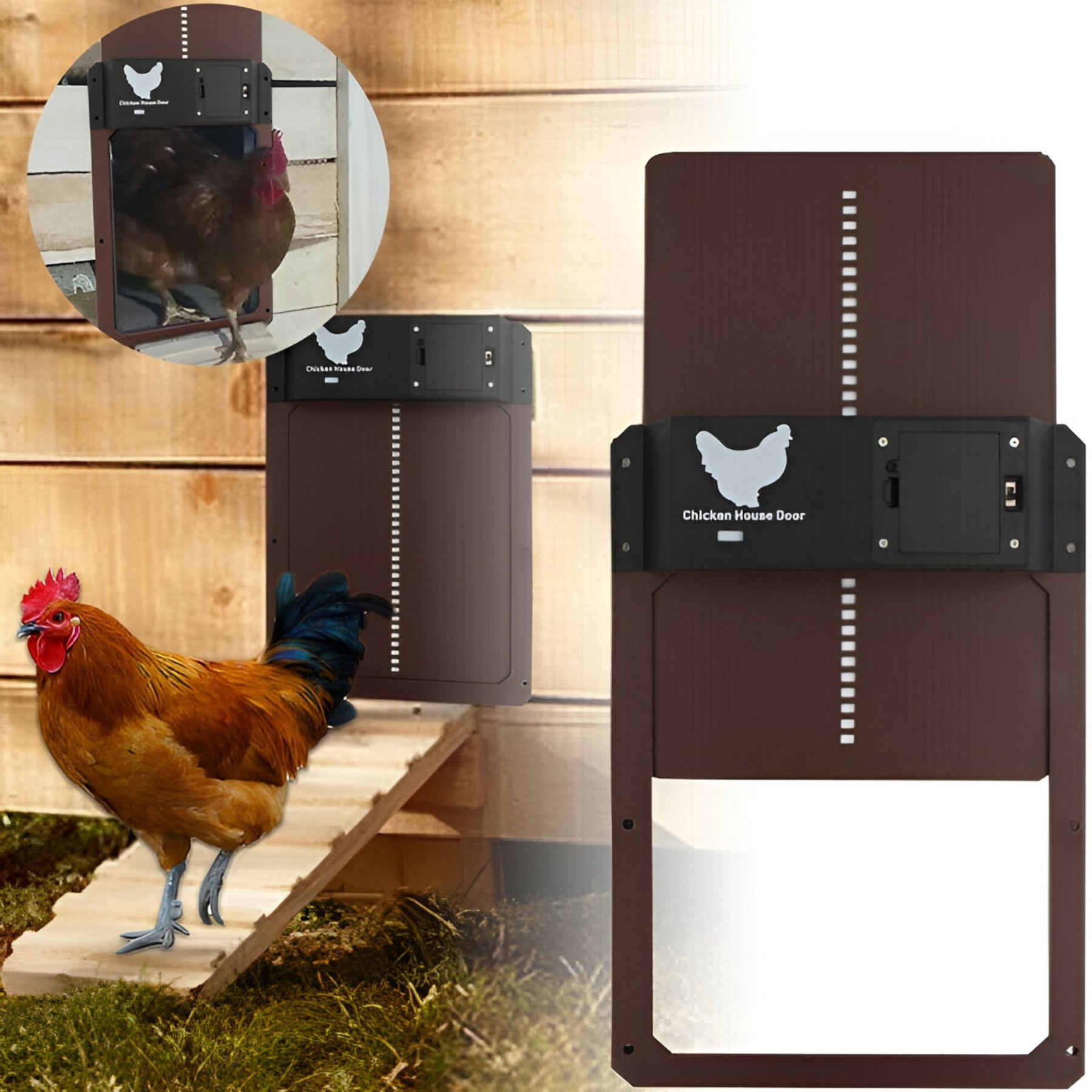 pets : Automatisch Kippenluik - Timer & Lichtsensor - Groen - Veilig & Gebruiksvriendelijk in van Pantino
