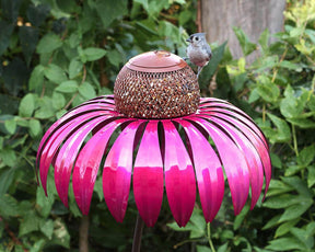 outdoor equipment : Coneflower Vogel Voederhuisje - Rood in van Pantino
