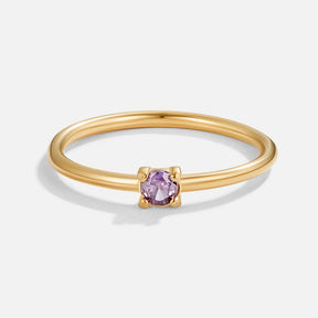 Ring : Ring Goud - Birthstone 18K Roestvrij Staal in Februari - Amethyst van Pantino