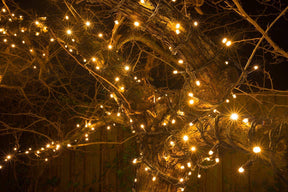 outdoor equipment : Waterdichte, Draagbare & Oplaadbare Sfeerverlichting in van Pantino