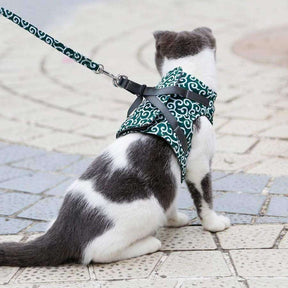 pets : Kattenvest Harnas Set Blauw - Comfortabel & Verstelbaar voor Kleine tot Middelgrote Katten in van Pantino