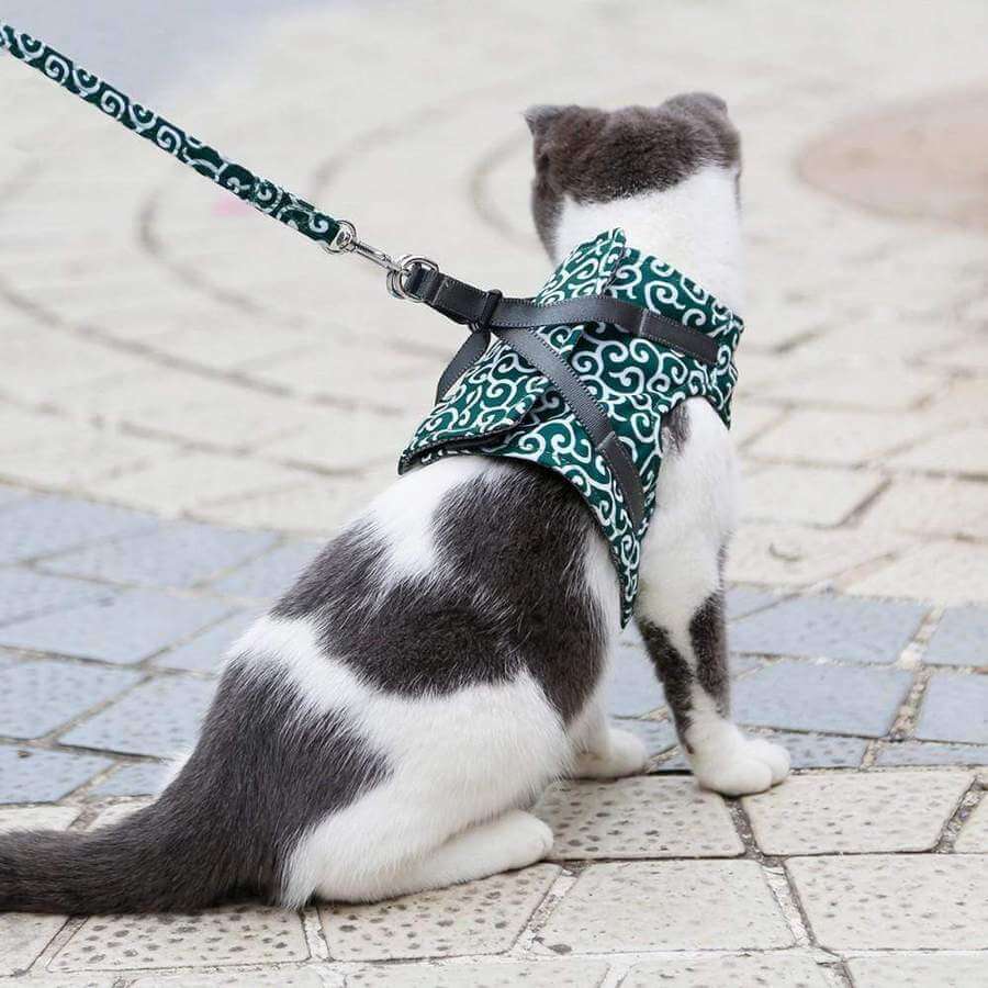 pets : Kattenvest Harnas Set Blauw - Comfortabel & Verstelbaar voor Kleine tot Middelgrote Katten in van Pantino