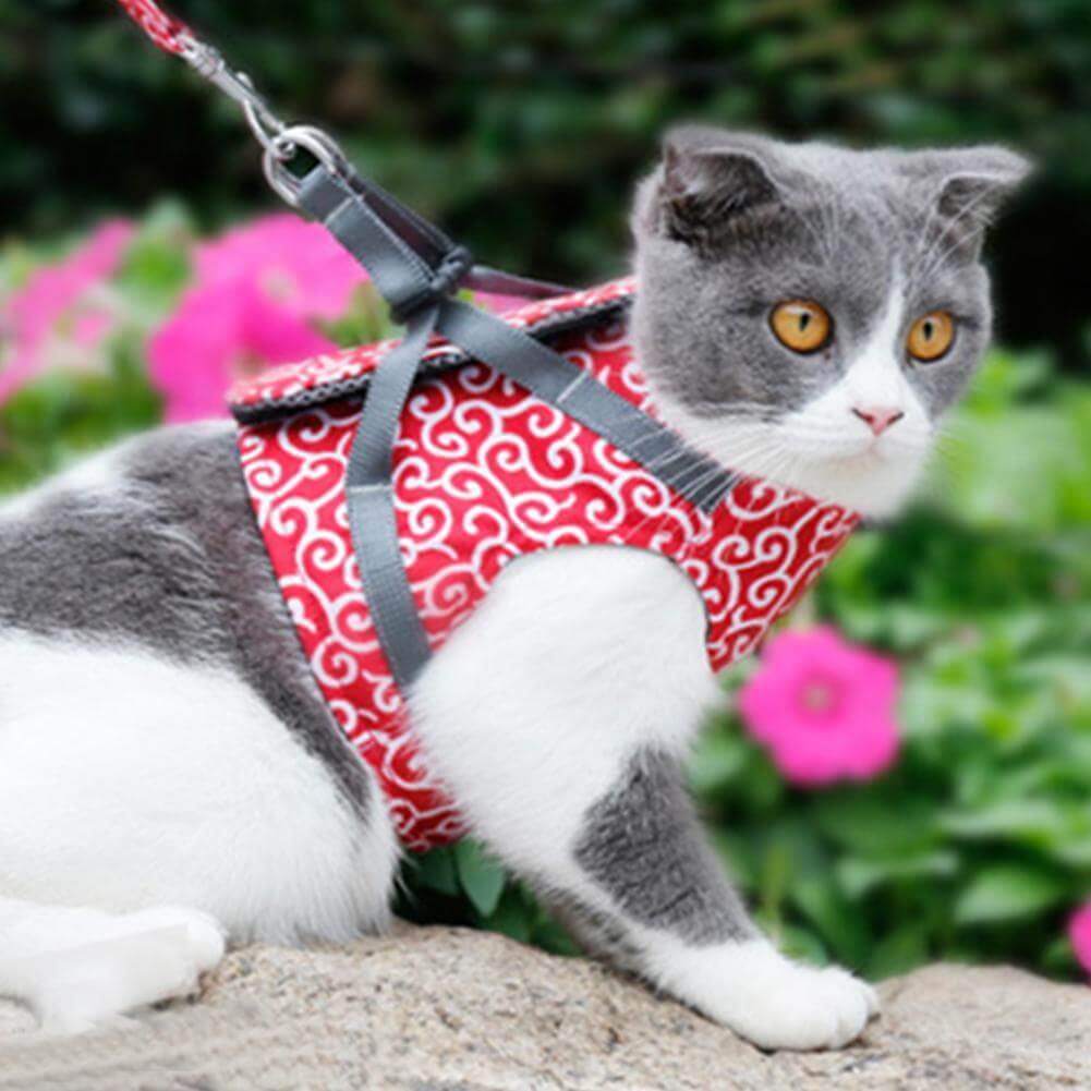 pets : Kattenvest Harnas Set Blauw - Comfortabel & Verstelbaar voor Kleine tot Middelgrote Katten in Rood van Pantino