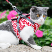 pets : Kattenvest Harnas Set Blauw - Comfortabel & Verstelbaar voor Kleine tot Middelgrote Katten in Rood van Pantino