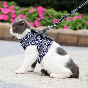 pets : Kattenvest Harnas Set Blauw - Comfortabel & Verstelbaar voor Kleine tot Middelgrote Katten in Blauw van Pantino