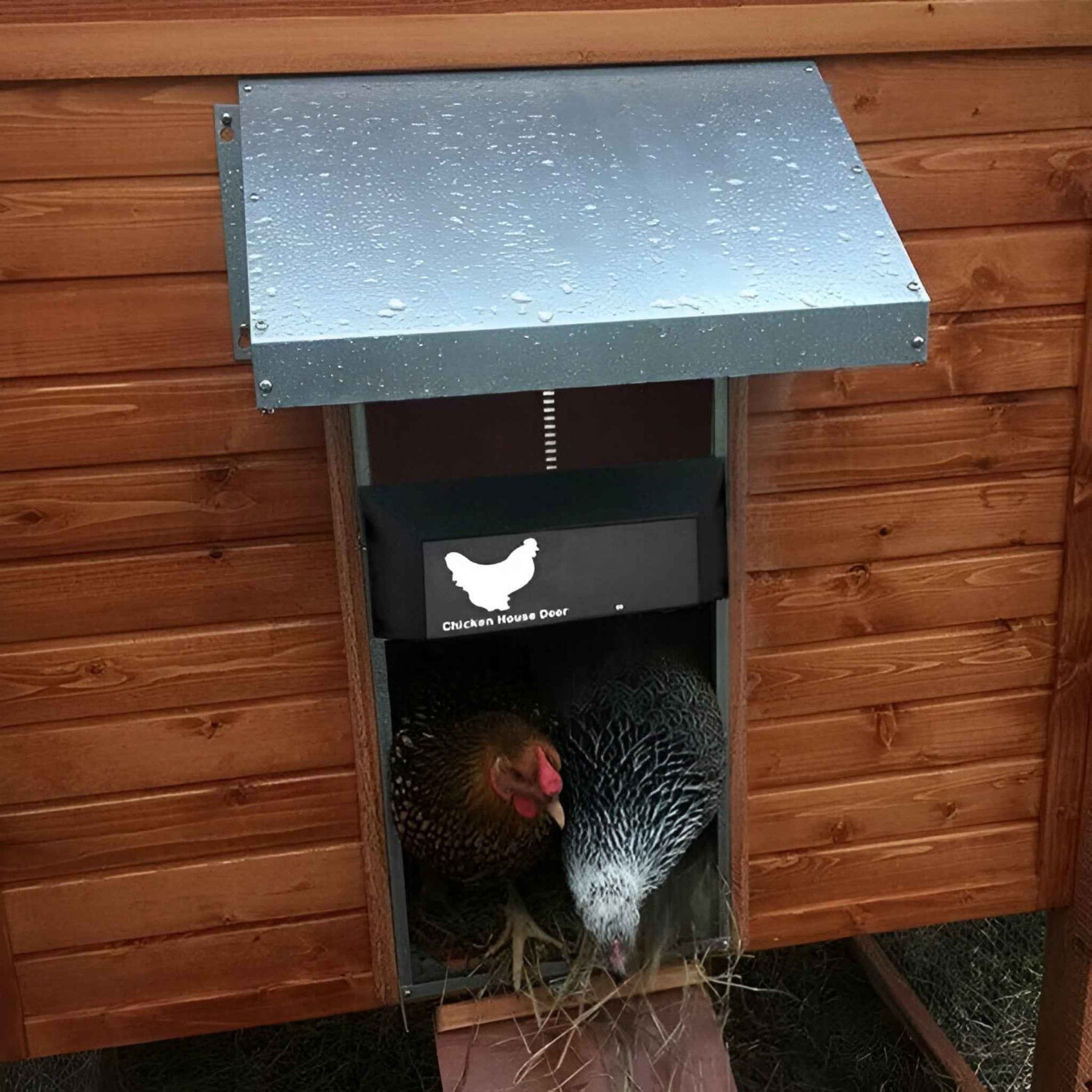 Chicken Coop Door : Automatische Solar Deur PRO+ voor Kippenhok - Lichtsensoren & Slimme Timer in van Pantino