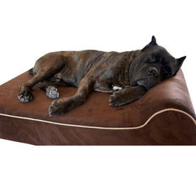 pet supplies : Luxe Bruine Hondenmatras in Chocolade van Pantinoshop