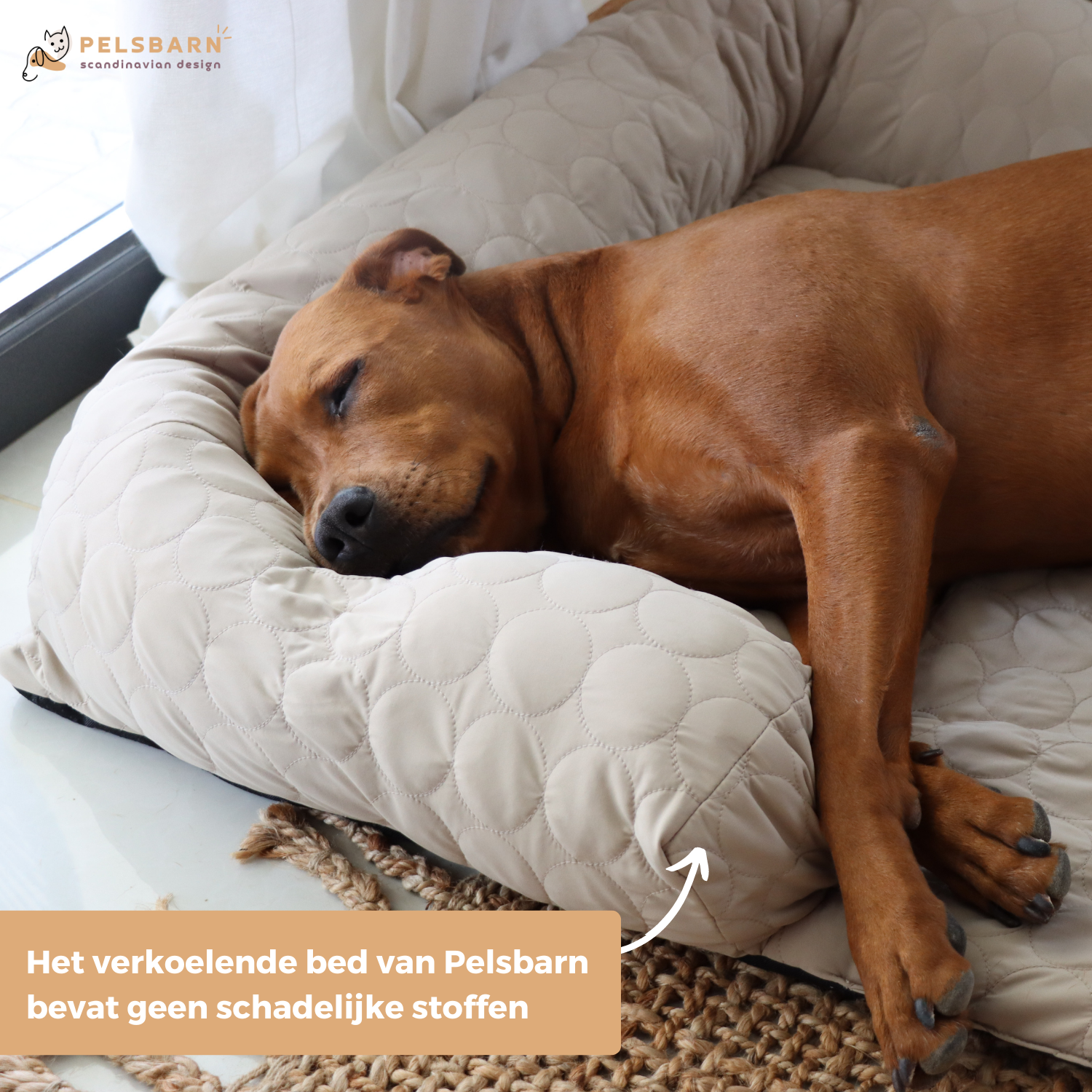 Huisdieren : Verkoelend Honden Bed - Lichtblauw in van Pantino
