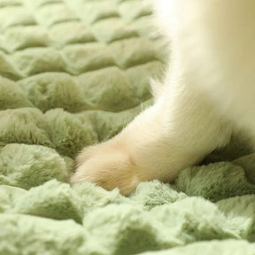 pets : CozyBeds - Kussen voor Hondenbed in van Pantino
