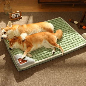 pets : CozyBeds - Kussen voor Hondenbed in van Pantino