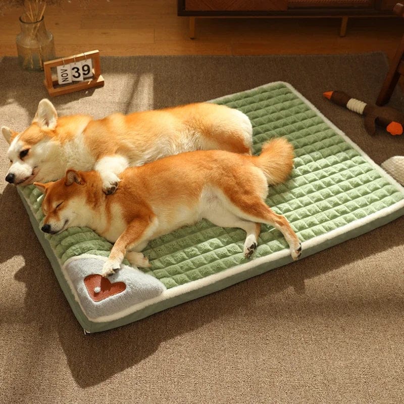 pets : CozyBeds - Kussen voor Hondenbed in van Pantino
