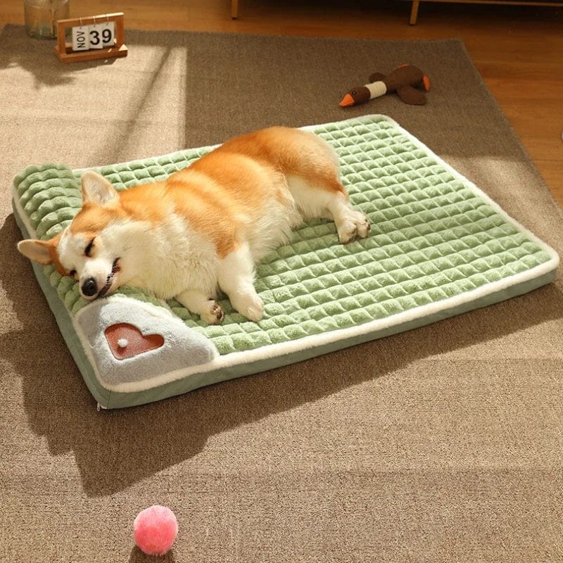 pets : CozyBeds - Kussen voor Hondenbed in van Pantino