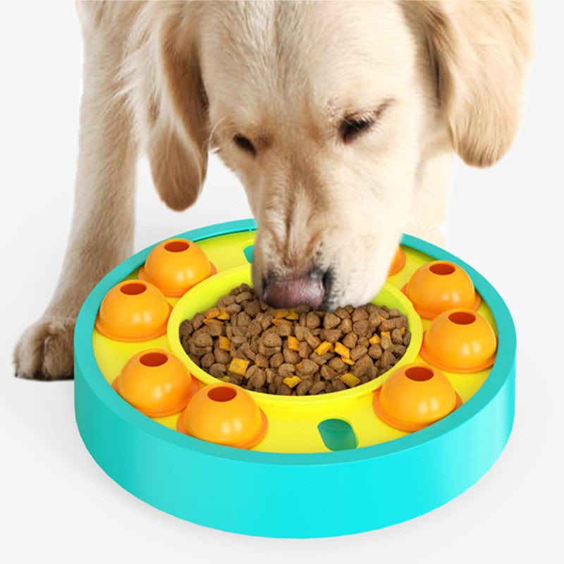 pets : DogFri ToyFeeder (Alleen Vandaag 50% Korting + Verzending) - Groen in van Pantino