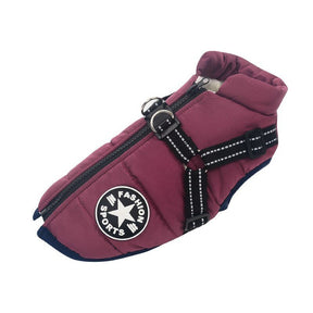 pets : Waterdichte Hondenjas - Warm Multifunctioneel Winter - Nylon in Paars van Pantino