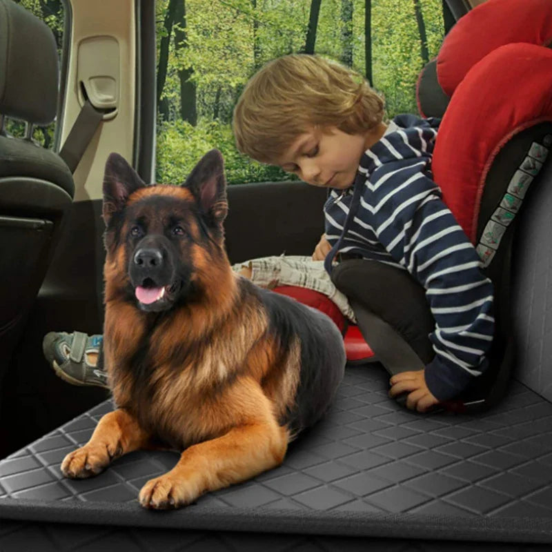 pets : PetCruiser - Zwart - Dierenbenodigdheden in van Pantino