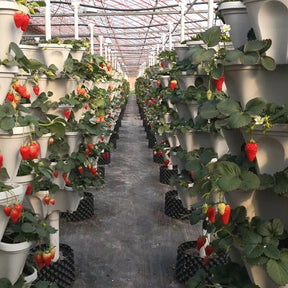home & garden : PlantTower - Rood - Woonaccessoire in van Pantino
