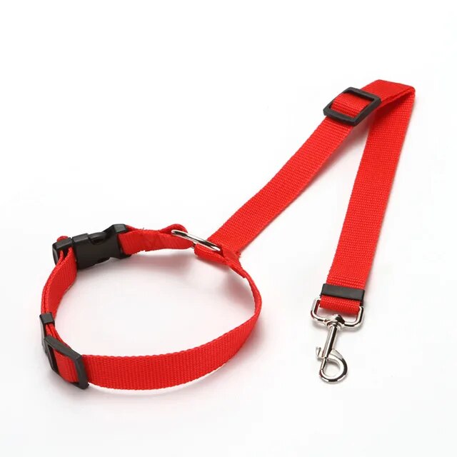 pets : SecureBelt - Zwart - Dierenbenodigdheden in Rood van Pantino
