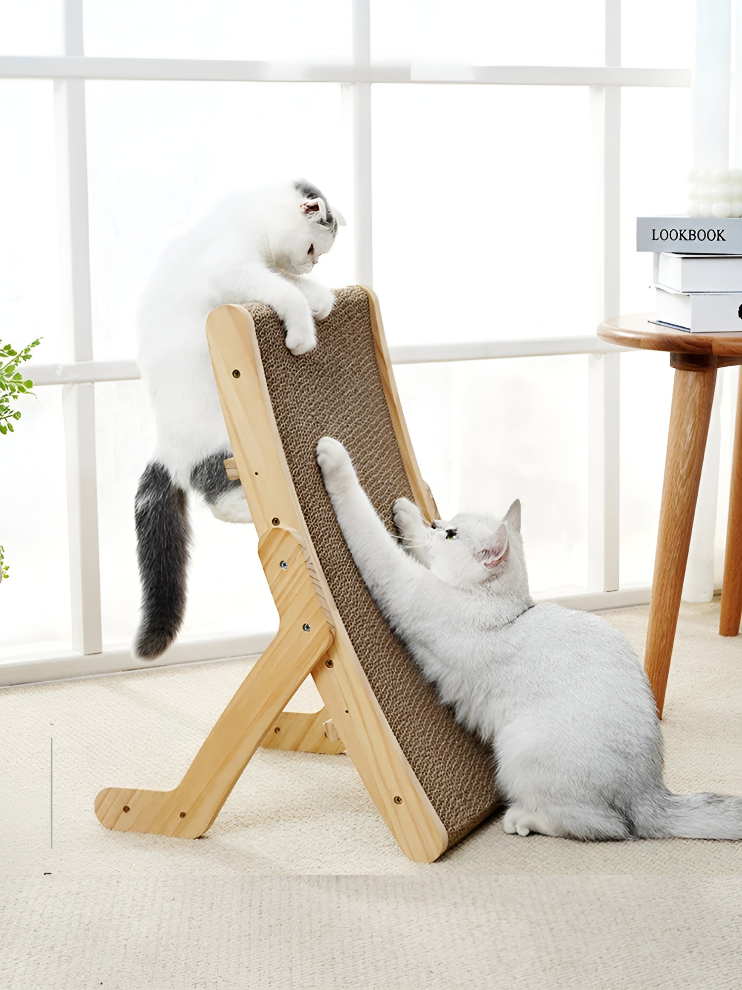 pets : Houten Kattenkrabplank - Multifunctionele Verwijderbare Design - Hout in van Pantino