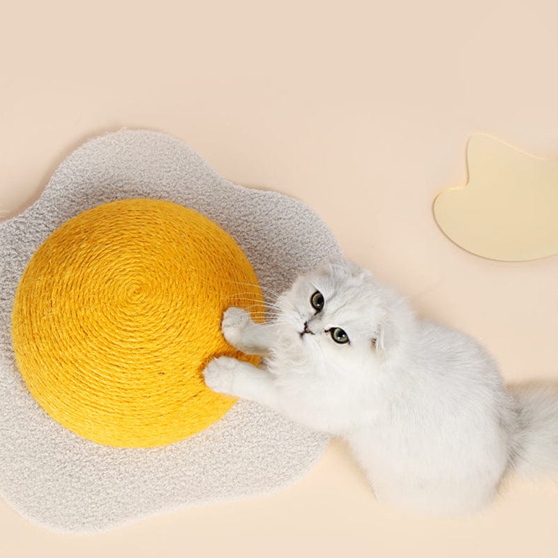 pets : Ei Serie Kat Combo Katten in van Pantino