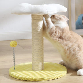 pets : Ei Serie Kat Combo Katten in van Pantino