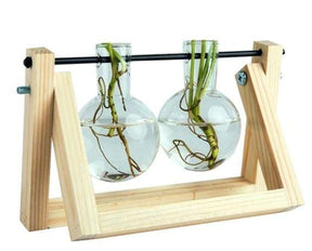 home & garden : Fauna Planten Stekpotjes - Kweek Thuis Je Eigen Plantjes in Blank 2 van Pantino