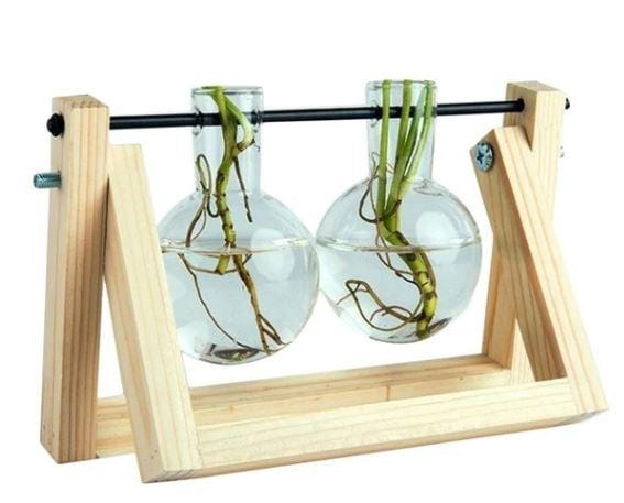 home & garden : Fauna Planten Stekpotjes - Kweek Thuis Je Eigen Plantjes in Blank 2 van Pantino
