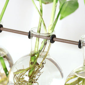 home & garden : Fauna Planten Stekpotjes - Kweek Thuis Je Eigen Plantjes in van Pantino